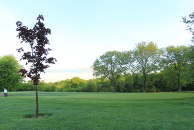 2017 Golf Outing