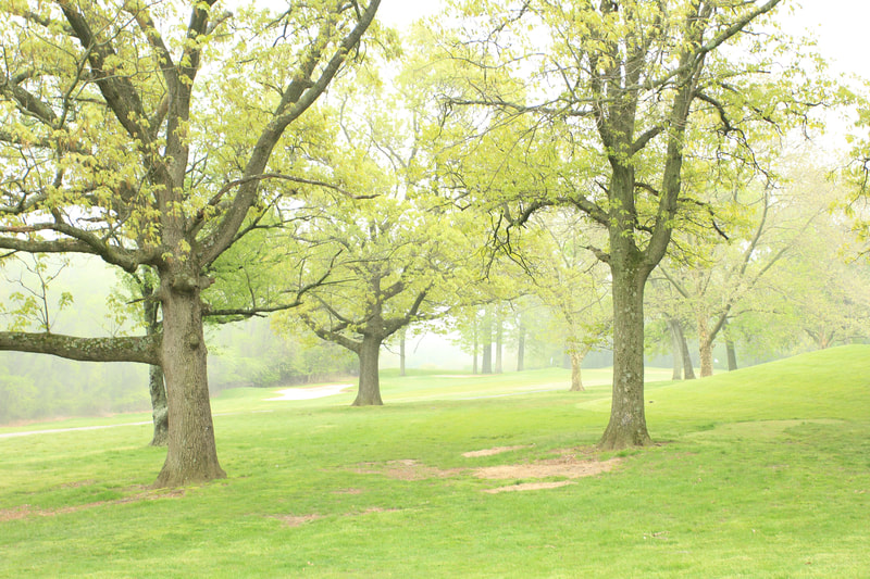 2019 Golf Outing
